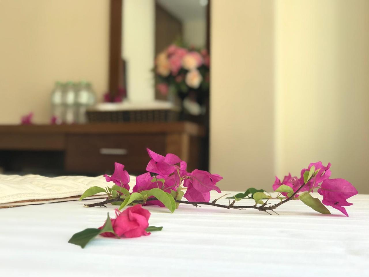 كات با Ha Vy Hotel المظهر الخارجي الصورة
